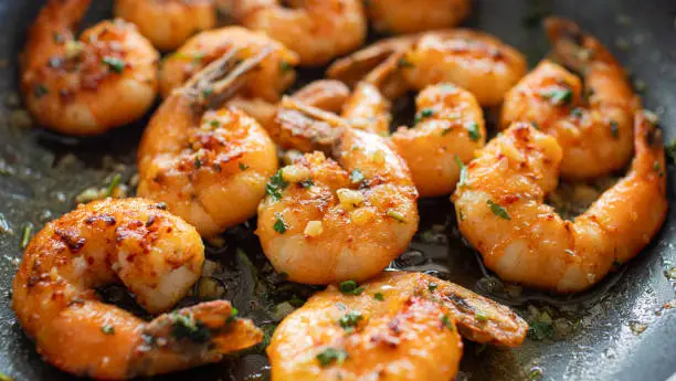 Freshwater Shrimp