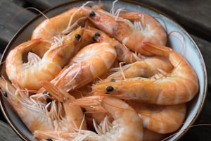 Shrimp Export Bangladesh